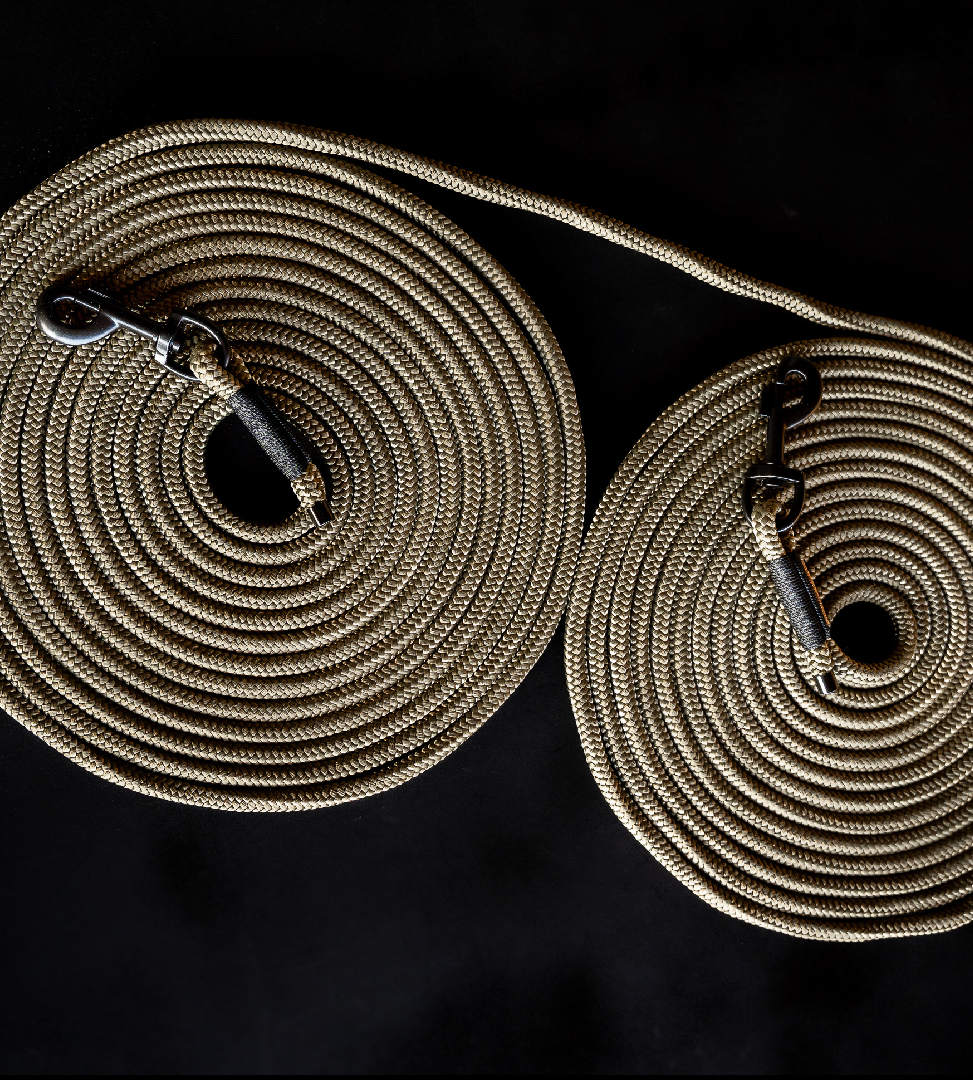 Doppellonge „Álfur“