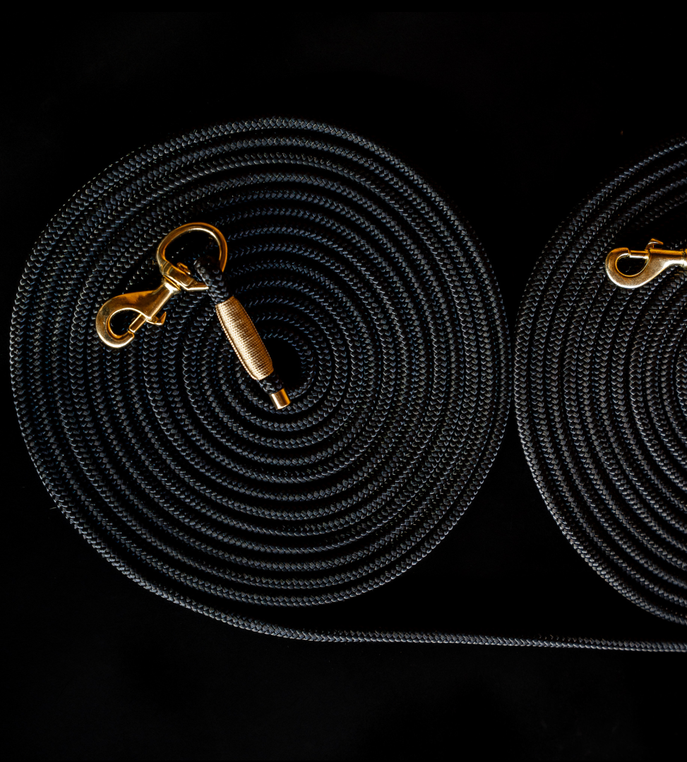 Doppellonge „Svartur“