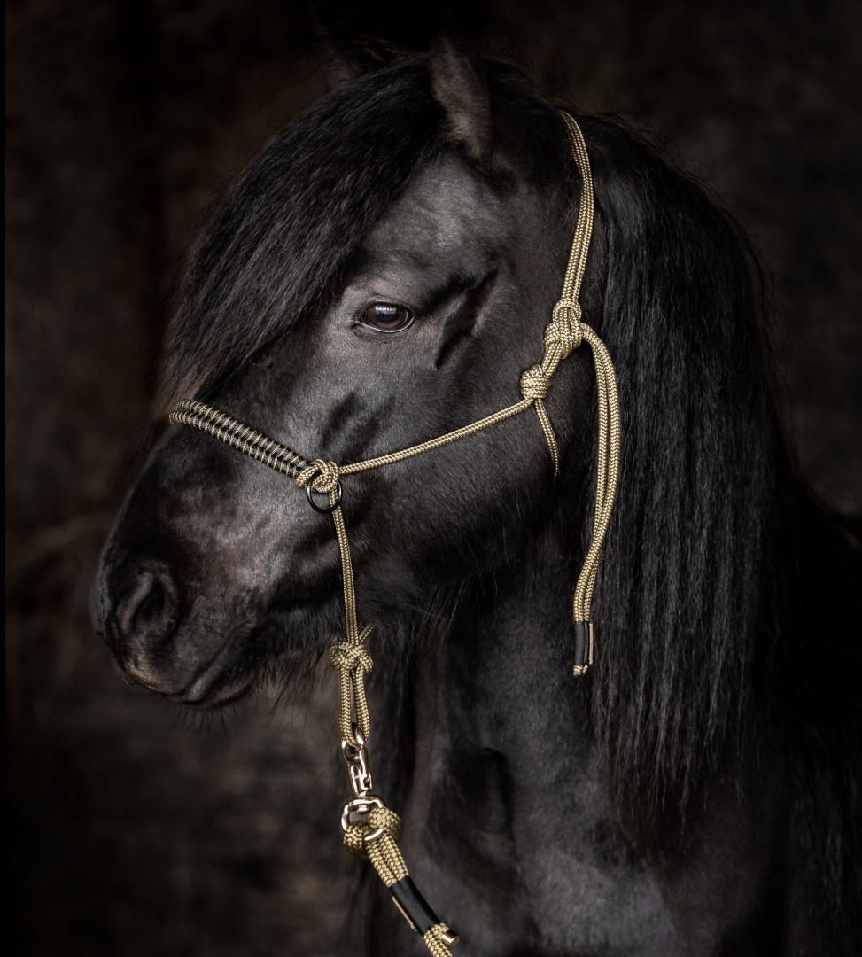 Knotenhalfter „Álfur“