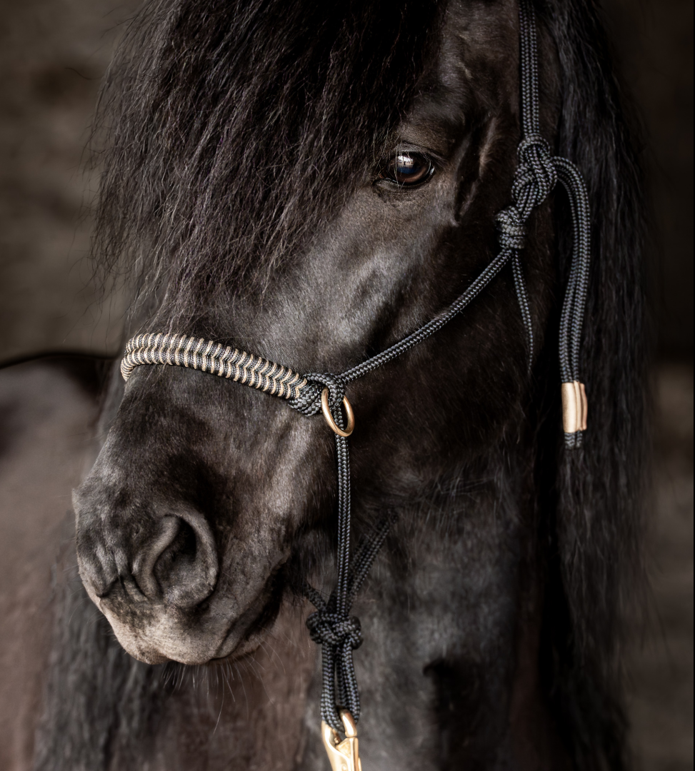 Stallhalfter „Svatur“